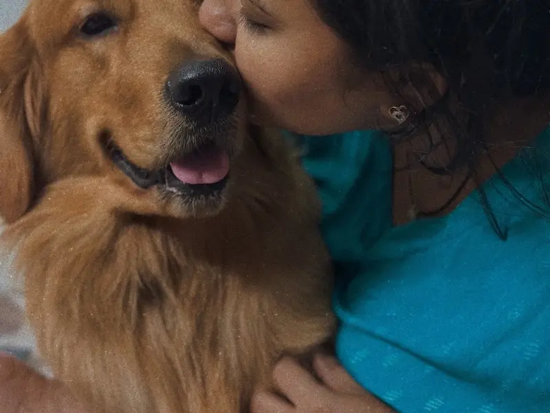 Woofs and Purr, photo 5