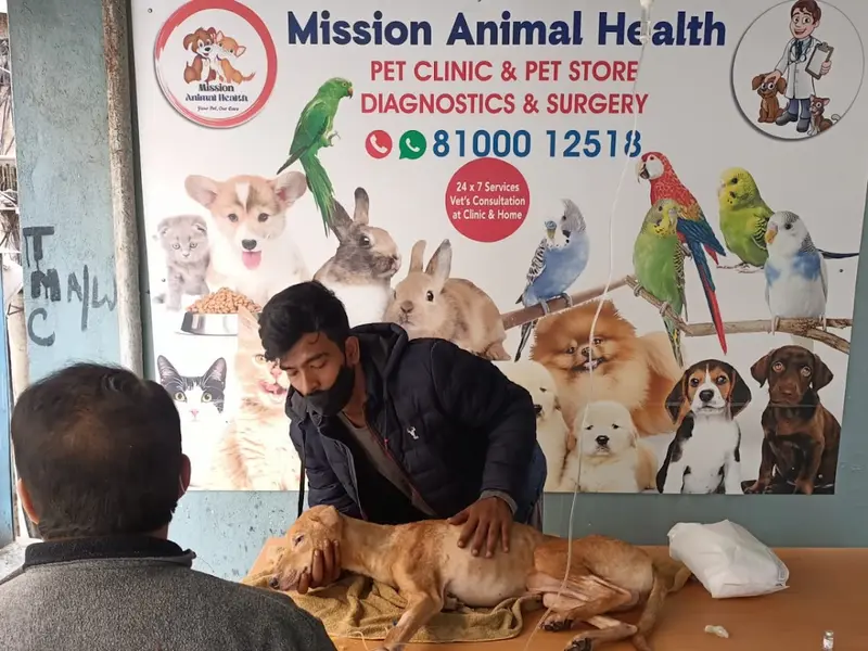 Mission Animal Health, photo 4