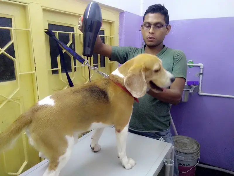 Pet arena clinic, photo 5