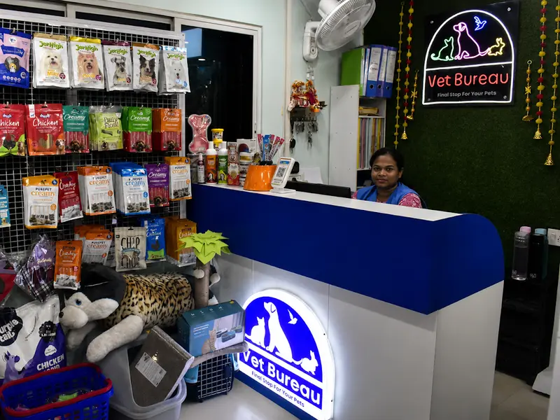 VET BUREAU, photo 3
