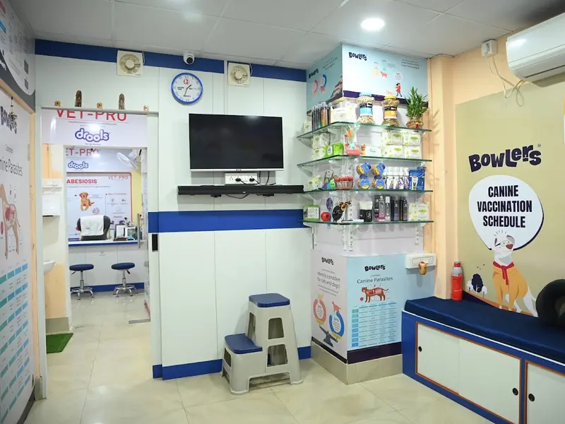 VET BUREAU, photo 4
