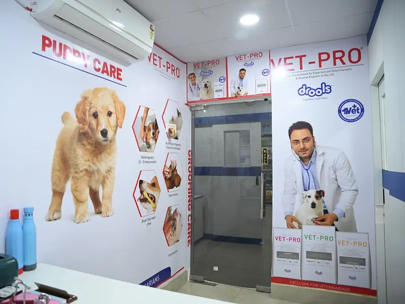 VET BUREAU, photo 5