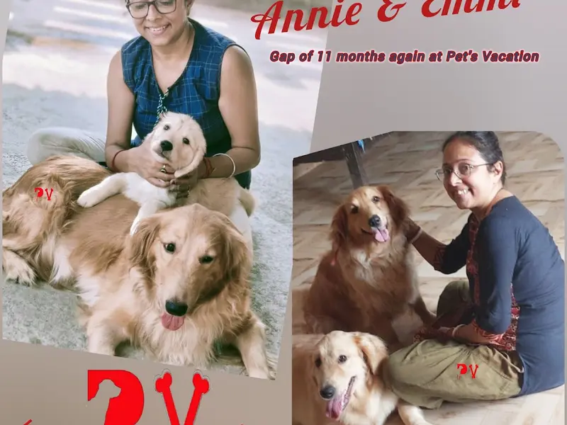 Pet's Vacation, photo 2