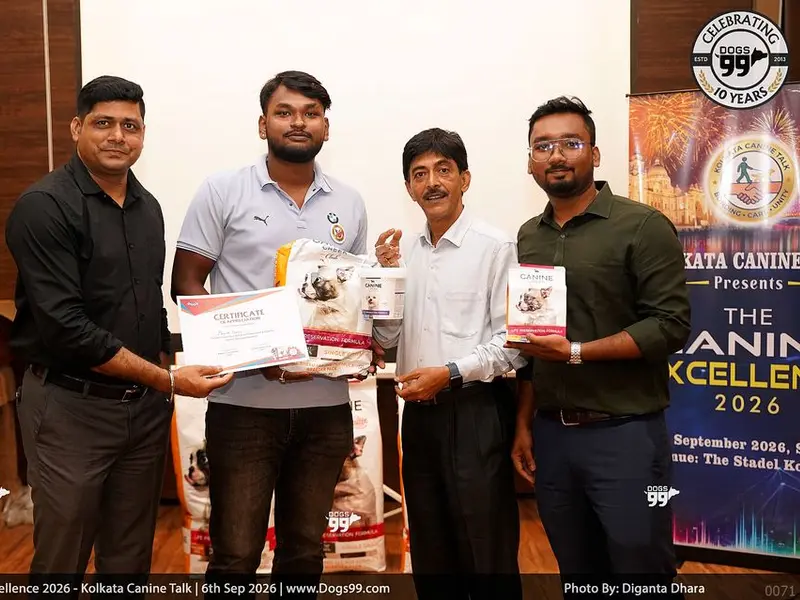 Mainak professional show dog trainer, photo 5