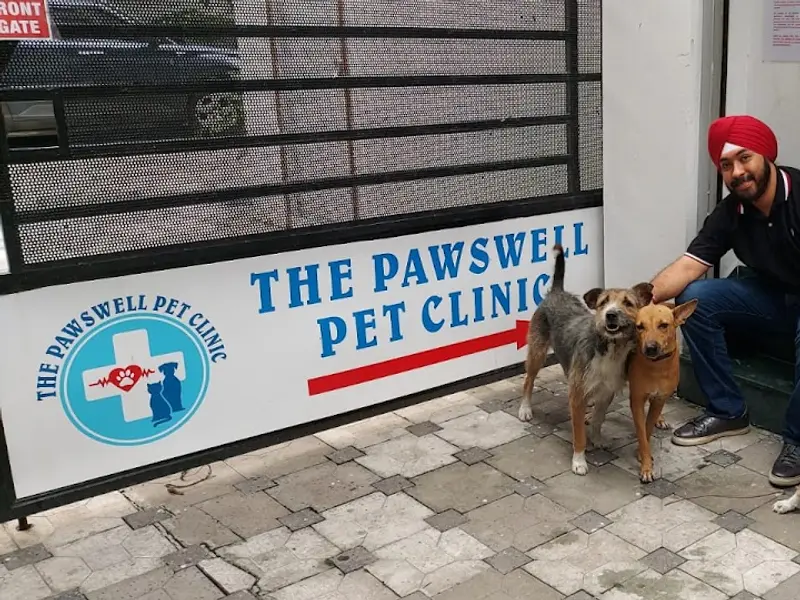 The Pawswell, photo 3