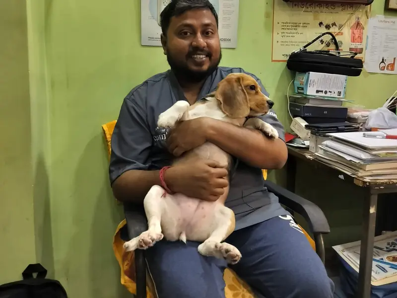 The Pets Detective Clinic and Grooming Center, photo 5
