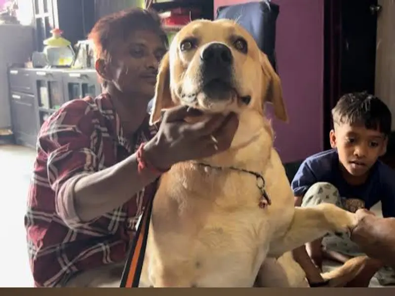 Universe Pet Care, photo 3