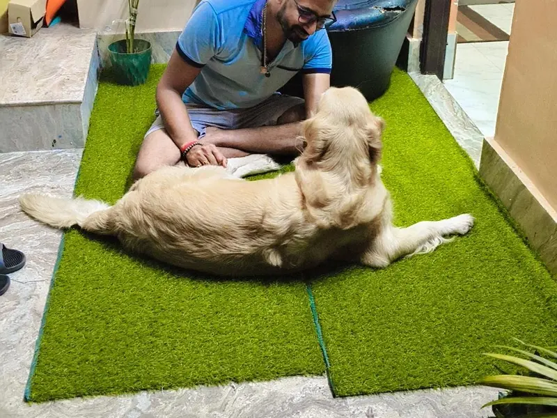 Dr. Sudipta Neogi-Veterinary Doctor, photo 5