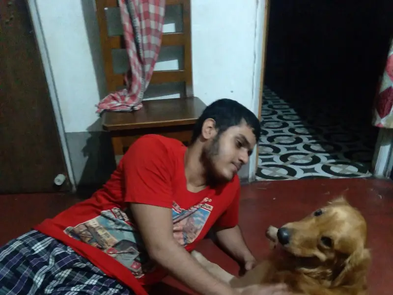 Pet's House, photo 2
