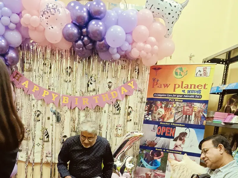 PAW PLANET, photo 4