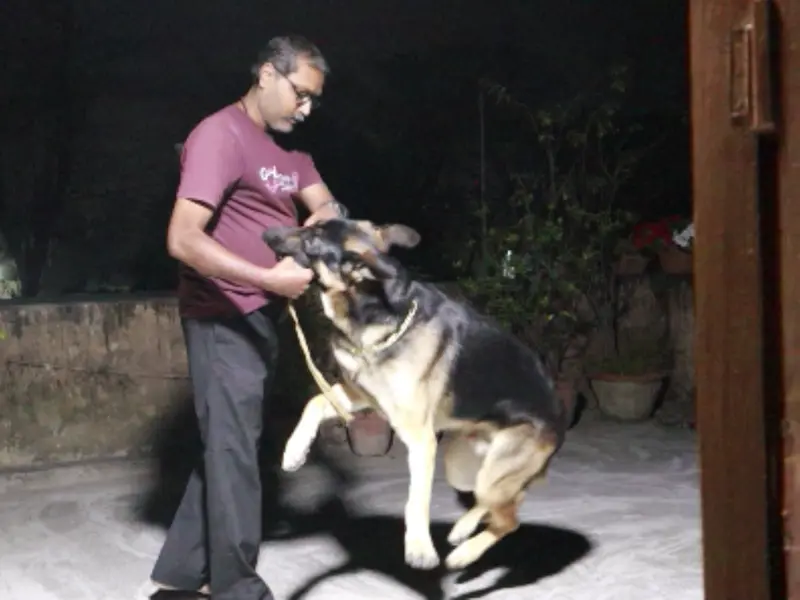 Dog Trainer and Behaviorist - Arijit Pathak, photo 2