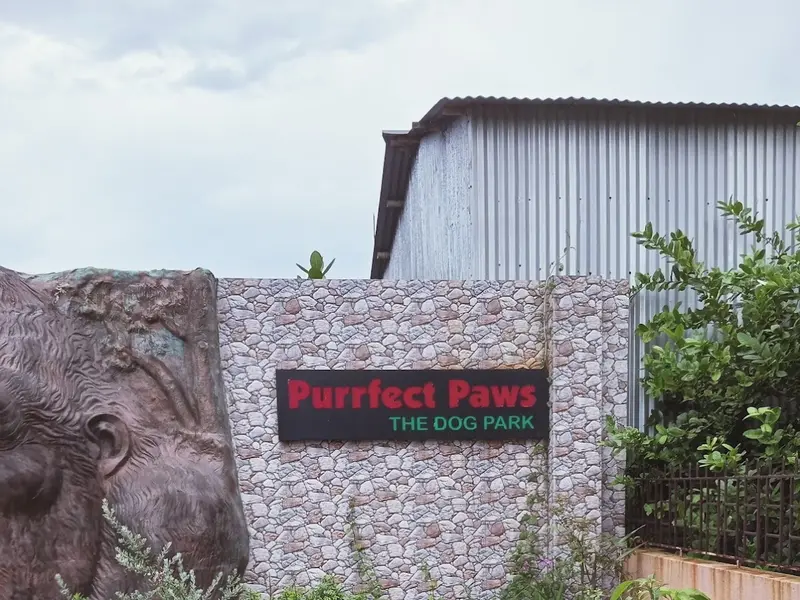 Purrfect Paws Sodepur, photo 3
