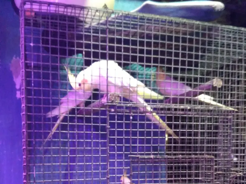 Aquarist World, photo 3