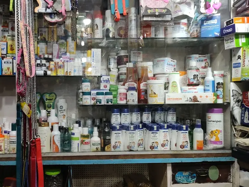 Olympic pet nation, photo 2
