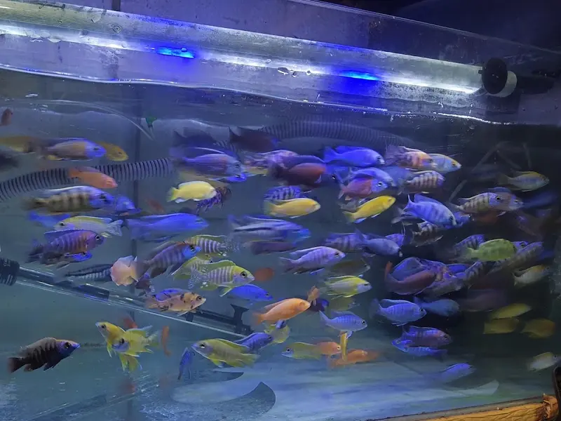 Ashok Aqua, photo 3