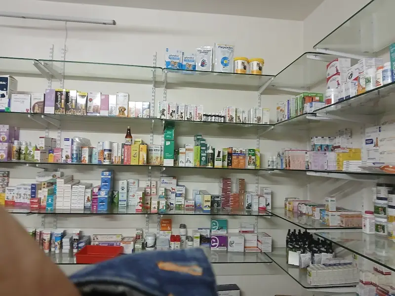 Divine Pet Clinic, photo 2