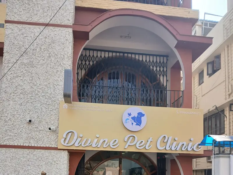 Divine Pet Clinic, photo 3