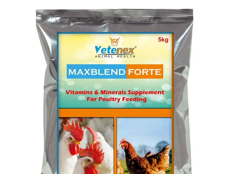 VETENEX, photo 5