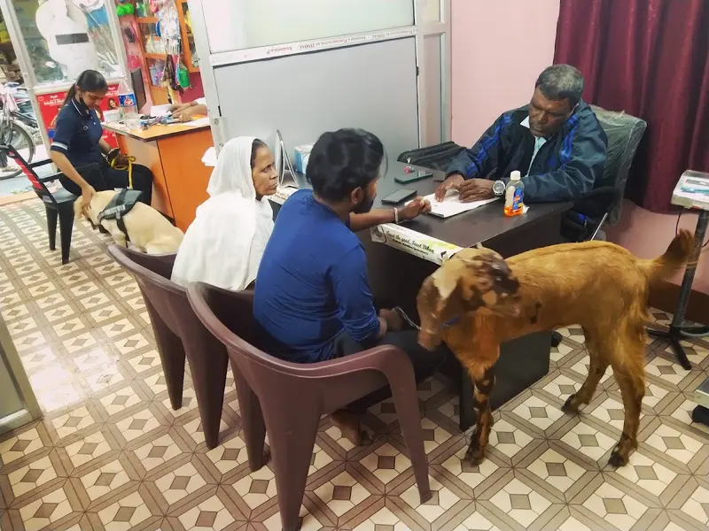 PG PETS CARE, photo 4