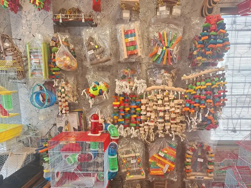 Tales of Joy Pet Shop – Birds | Dogs | Cats | Small Animals & Accessories Kolkata, photo 2