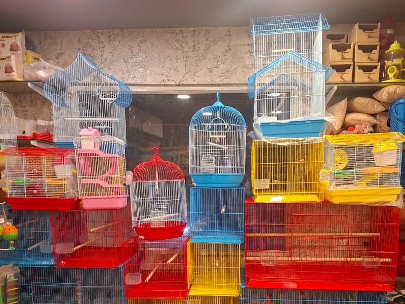 Tales of Joy Pet Shop – Birds | Dogs | Cats | Small Animals & Accessories Kolkata, photo 3