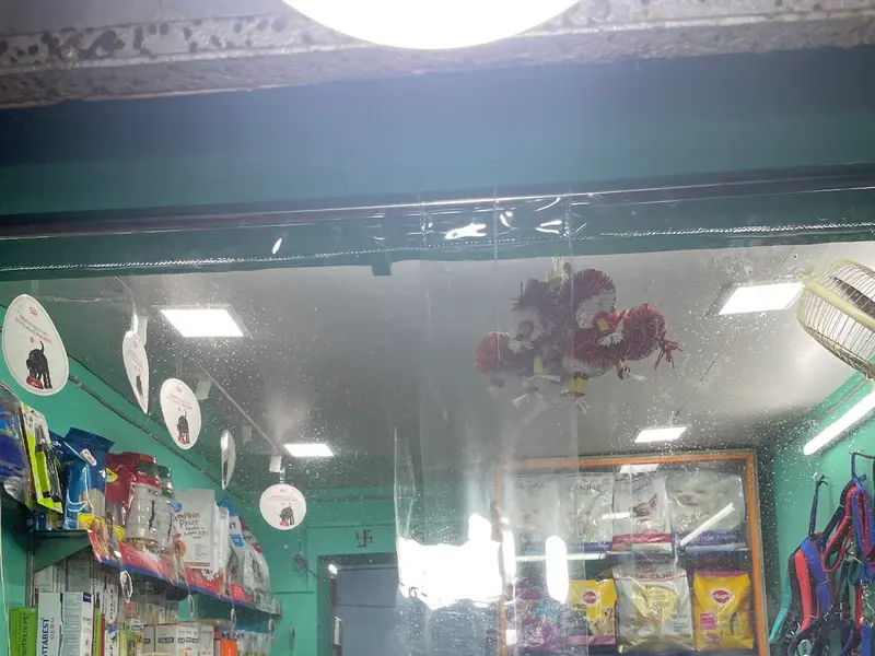 Pets's Kingdom