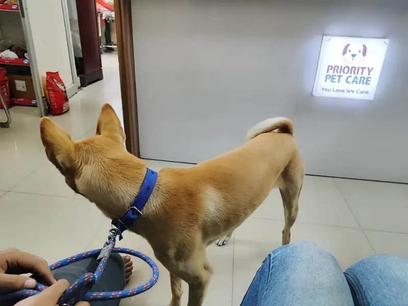 Priority Pet Care, photo 3