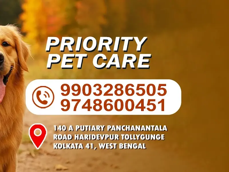 Priority Pet Care, photo 4