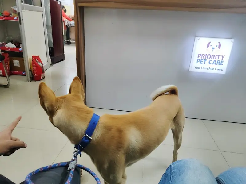Priority Pet Care, photo 5