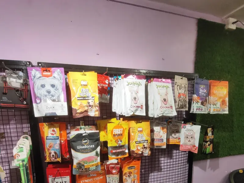 The Paw’s World Veterinary Care Centre, photo 5