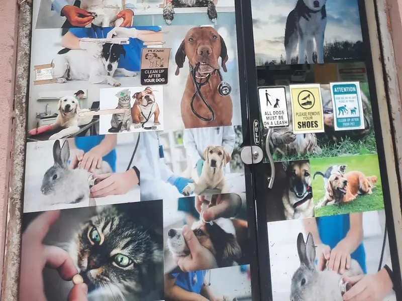 SAI PET CARE animal hospital and sonography center, photo 5