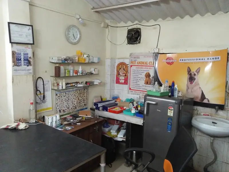 Dr Anils Pet Animal Clinic JVLR, photo 2