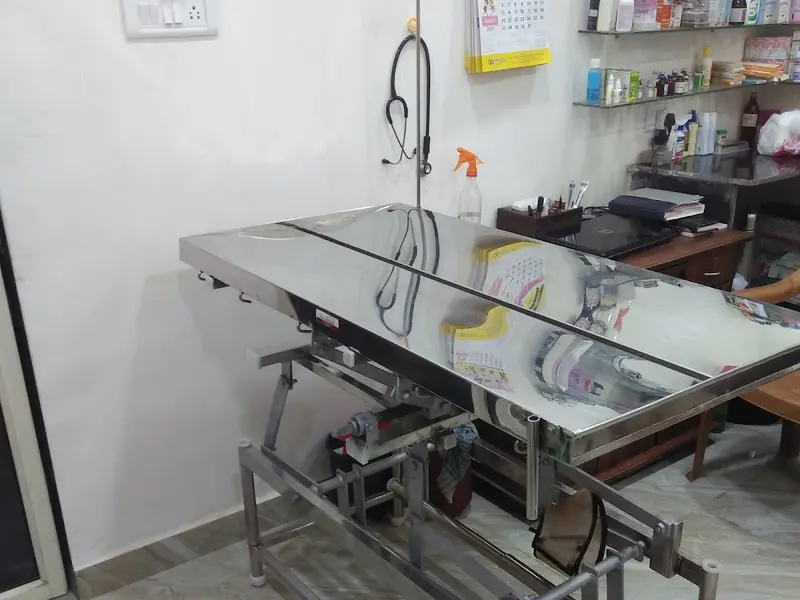 Dr Anils Pet Animal Clinic JVLR, photo 4