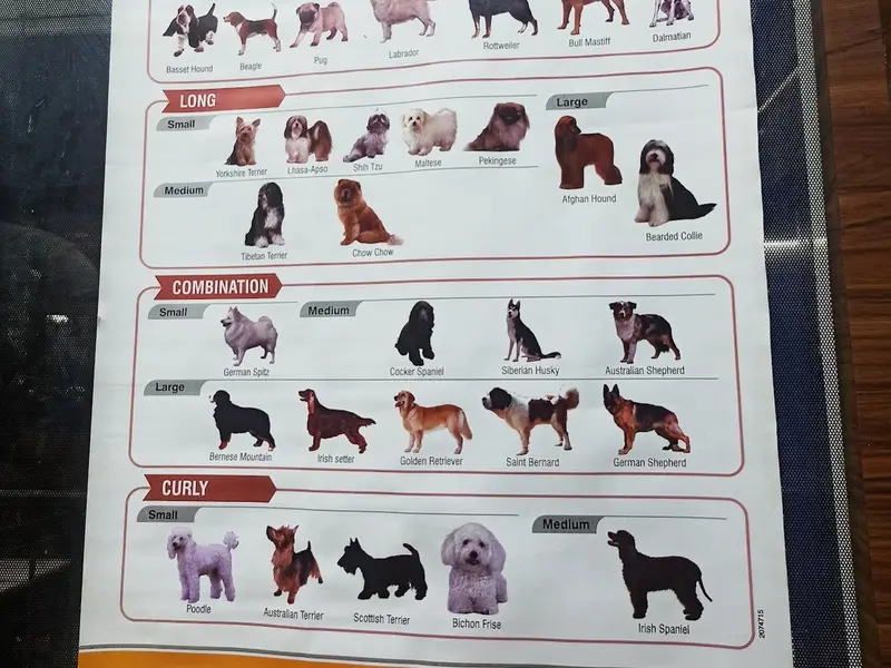 Dr ANOOP'S PET CLINIC & CARE CENTER|PET CLINIC|VETERINARY DOCTOR|PET VACCINATION|, photo 5