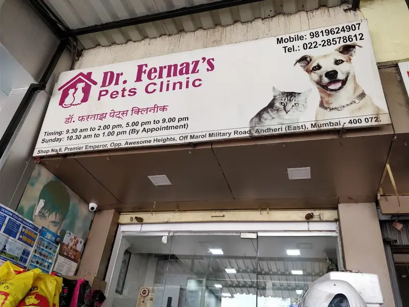 Dr.Fernaz's Pets Clinic, photo 2