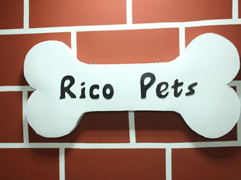 Rico Pets - Best Pet Shop in Mumbai, photo 2