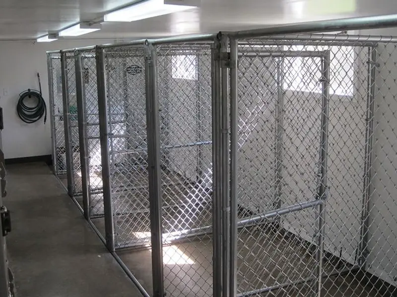 SangFroid Kennels Mumbai, photo 4