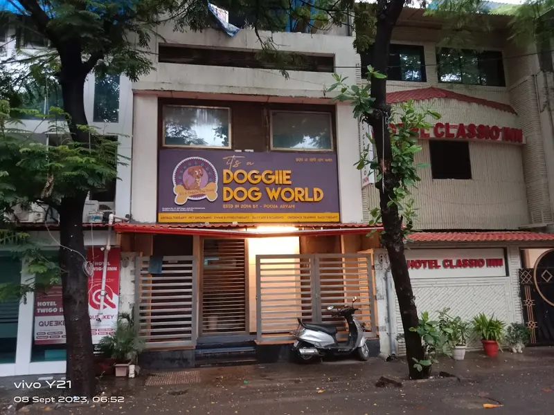 Doggiie Dog World, photo 3