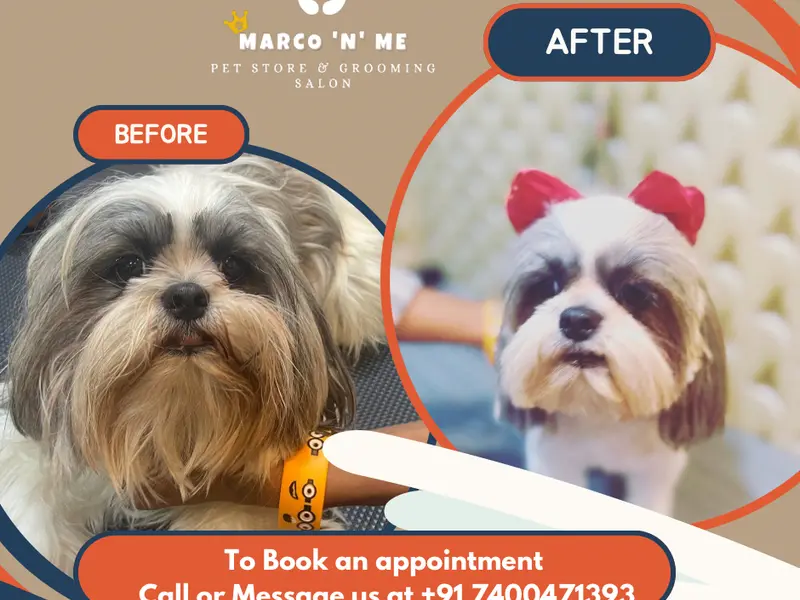 MARCO 'N' ME- The Pet Grooming Salon & Store, photo 2
