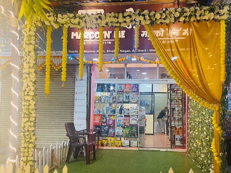 MARCO 'N' ME- The Pet Grooming Salon & Store, photo 4