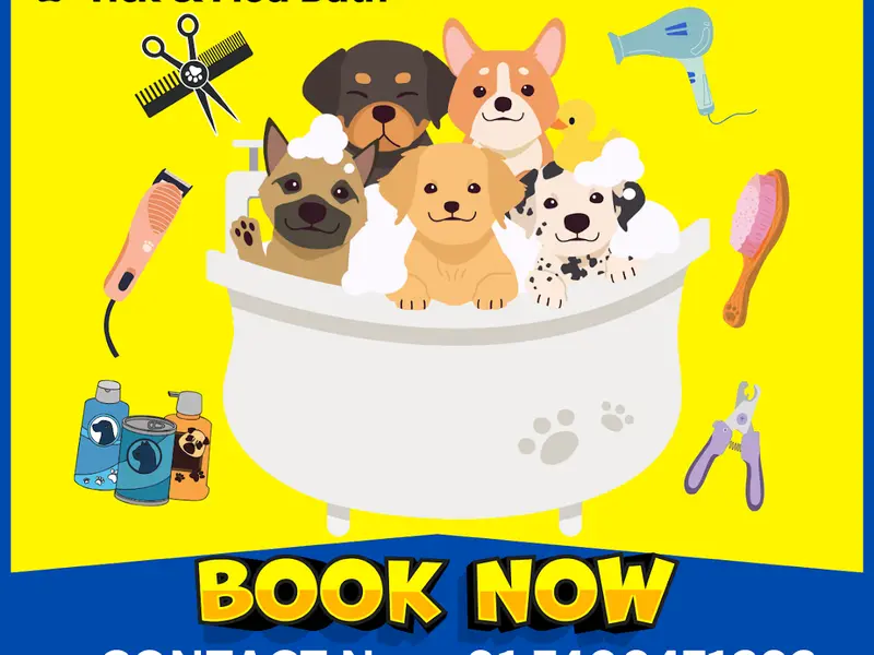 MARCO 'N' ME- The Pet Grooming Salon & Store, photo 5