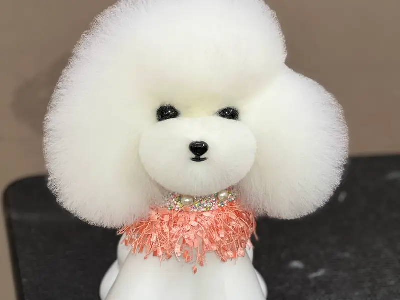 Petsburgh Pet Boarding & Grooming Spa, photo 2