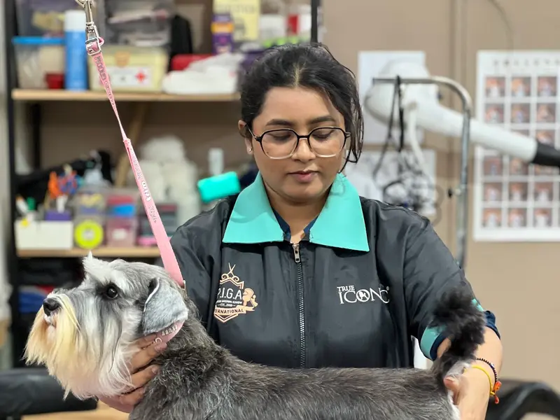 Petsburgh Pet Boarding & Grooming Spa, photo 3