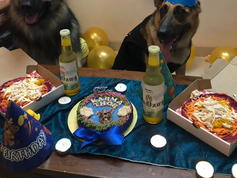 Pupcake factory, photo 4