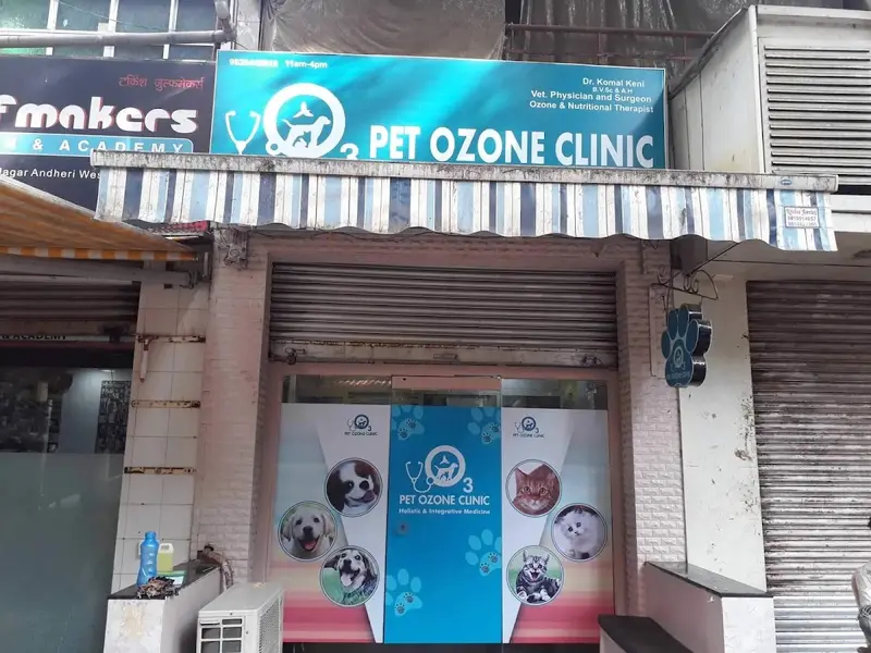 THE OZONE VETS, photo 3