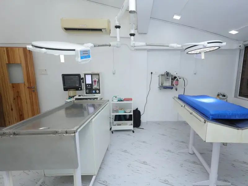 THE OZONE VETS, photo 5