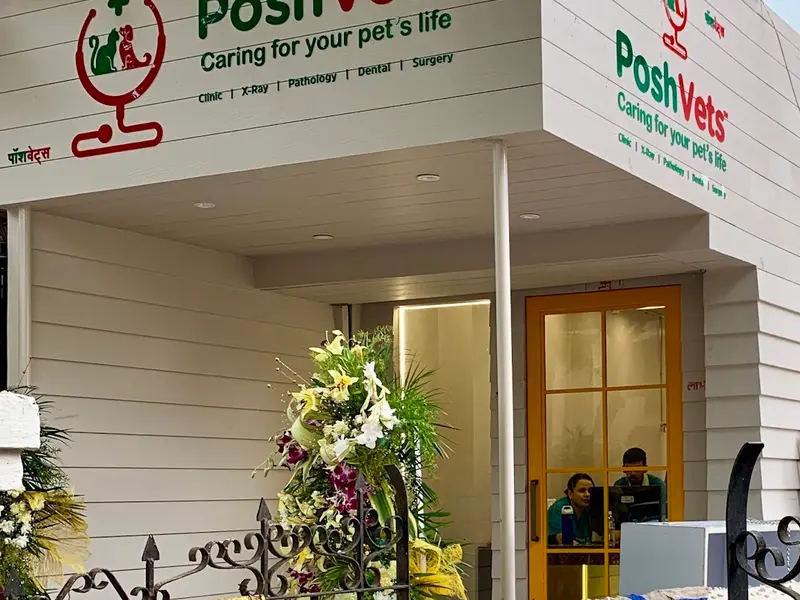 Posh Vets, photo 2