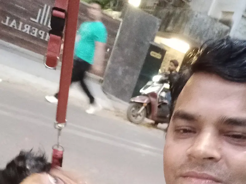 Professional Dog walker and Trainer, photo 2
