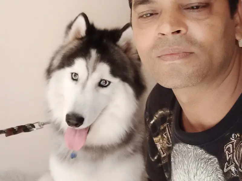 Professional Dog walker and Trainer, photo 4