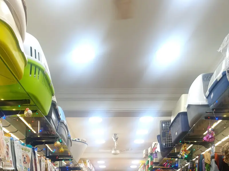 Shopawholic, photo 2
